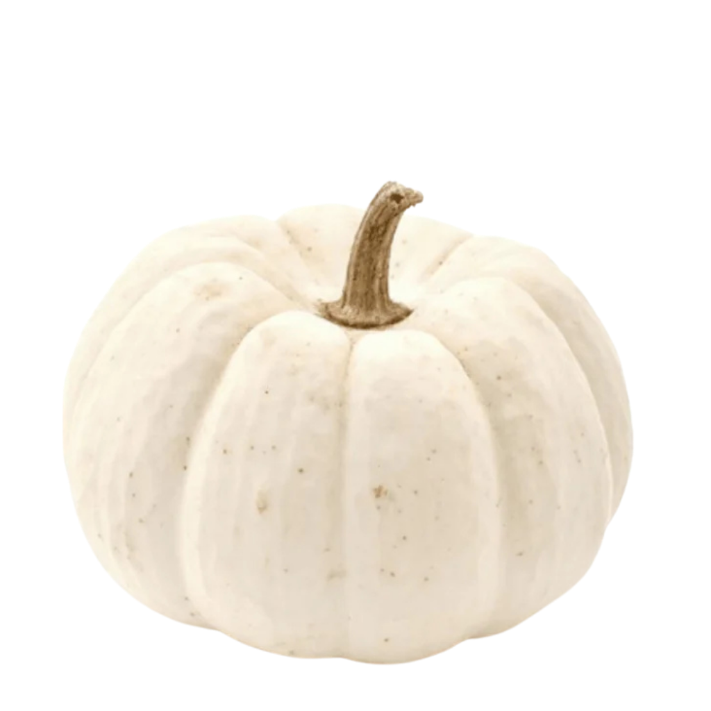 Pumpkin White 1 lb buy online USA - 1